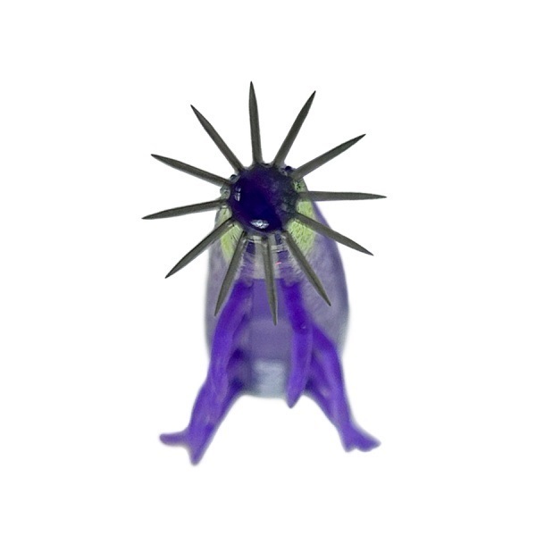 海老助６８ｍｍ